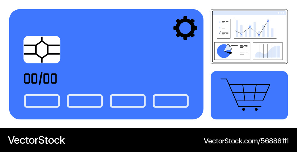 Digital payment system with credit card analytics Vector Image