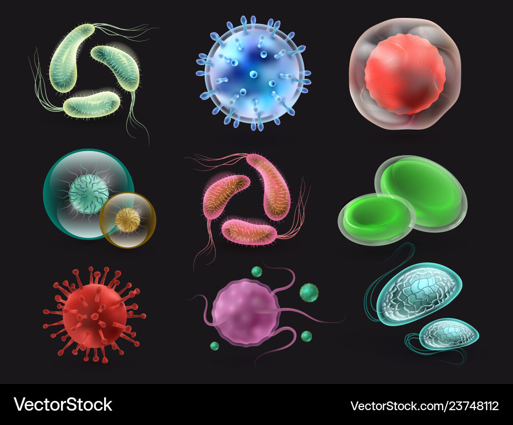 Bakterien und Viren setzen Mikrobiologie Bakterien und Viren setzen Mikrobiologie vektorbild