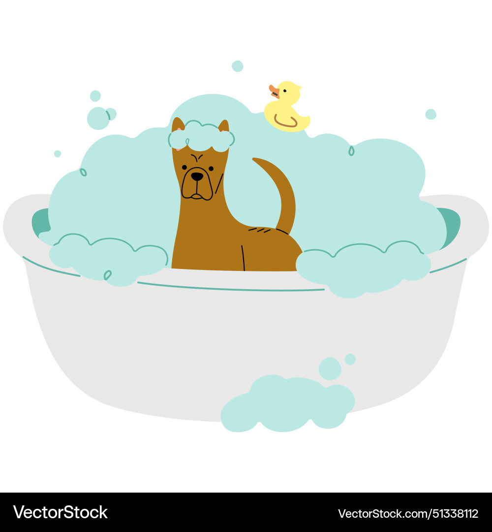 Pet grooming single 18 Royalty Free Vector Image