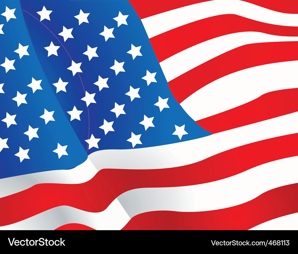 Usa Flagge Vektorbild