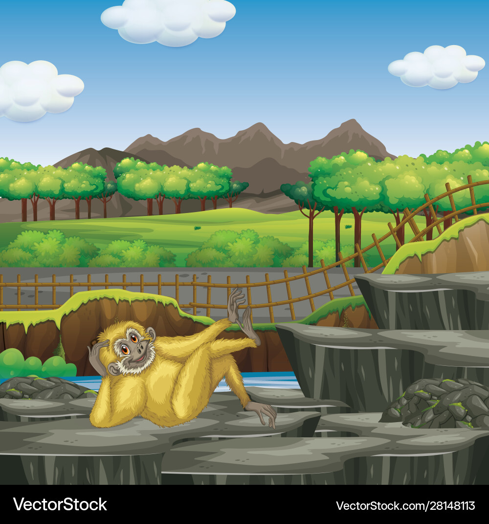 White Gibbon in Zoo Setting Vector Image