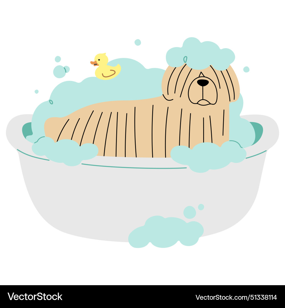 Pet grooming single 19 Royalty Free Vector Image