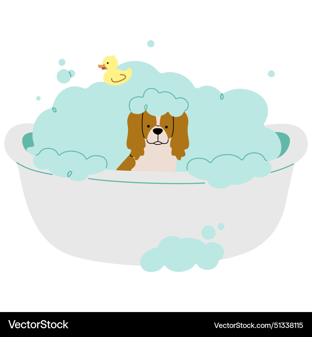 Pet grooming single 21 Royalty Free Vector Image