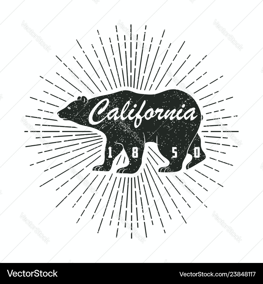 California grunge print with bear California grunge print with bear vector image