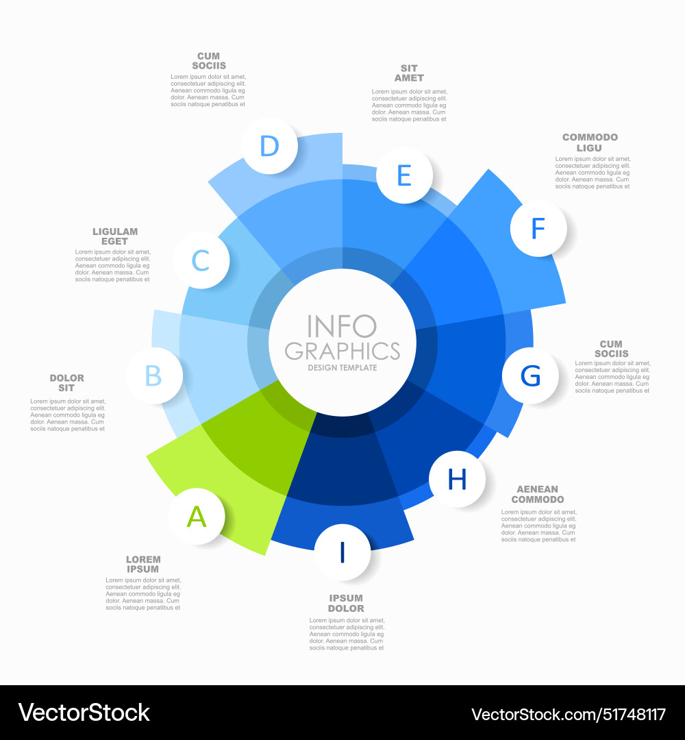 Infographic Template with Circular Elements vector image