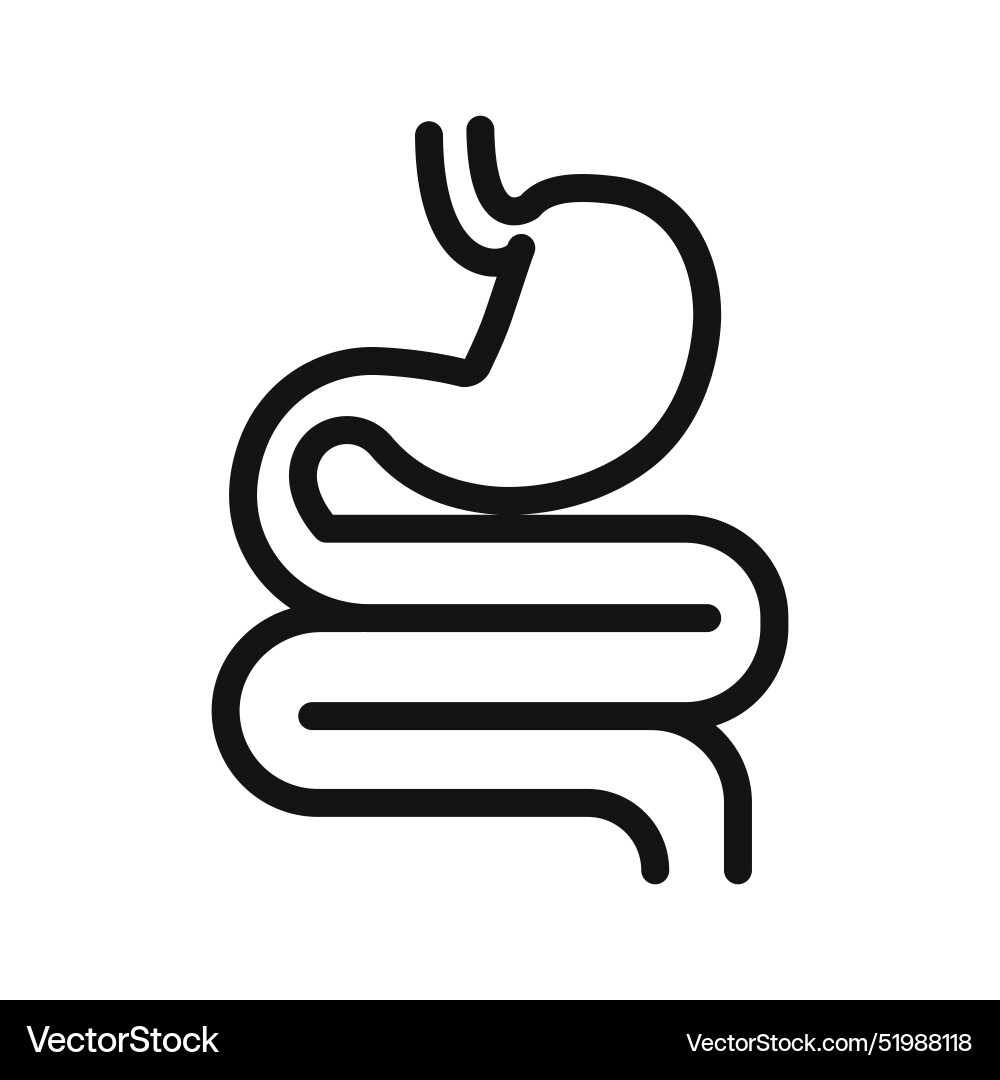 Digestive system icon mark in filled style Digestive system icon mark in filled style Vector Image