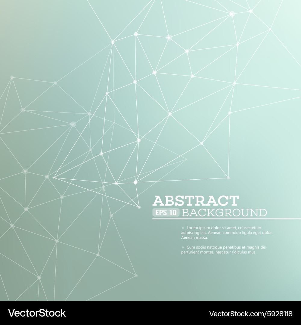 Modern Connection Network Background vector image