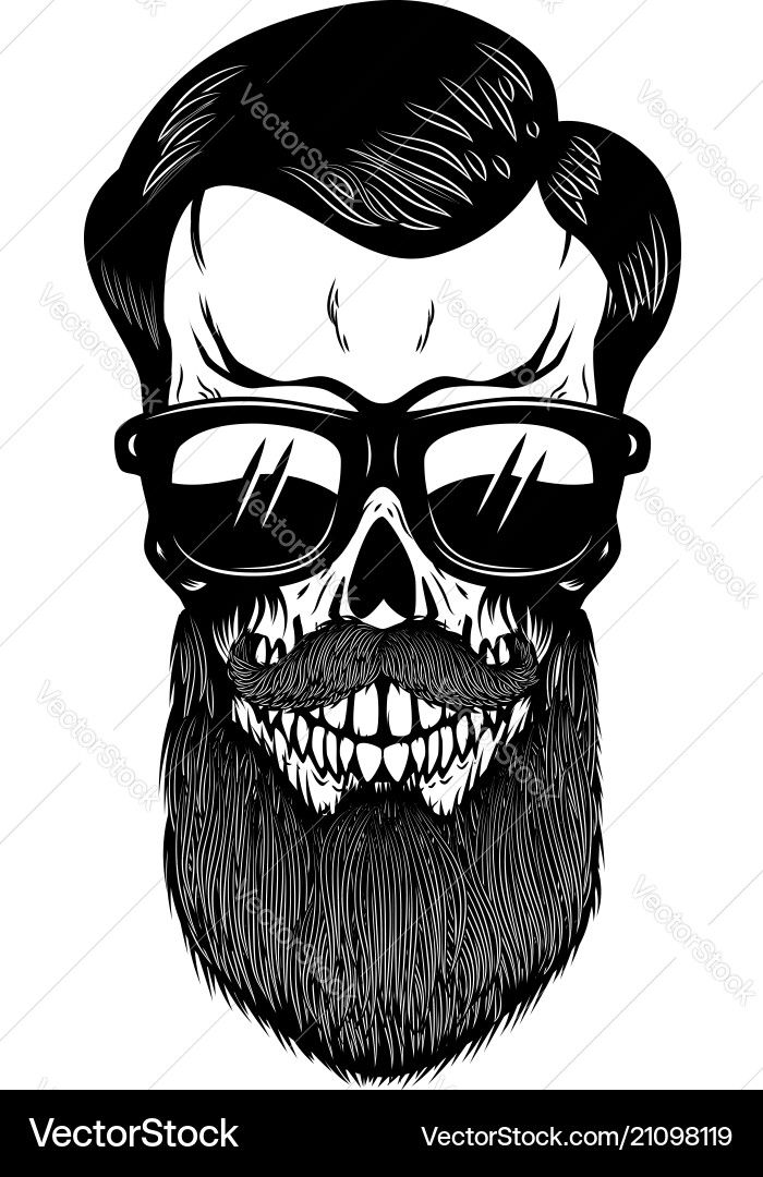 Bearded skull in sun glasses design element vector image