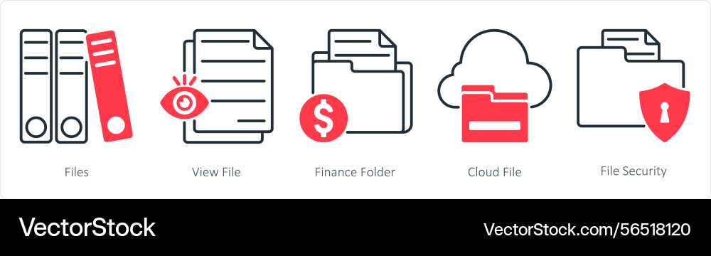 A set of 5 files icons as file view finance vector image