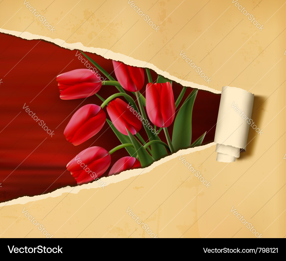 Ripped Paper Flower Background Vector Image