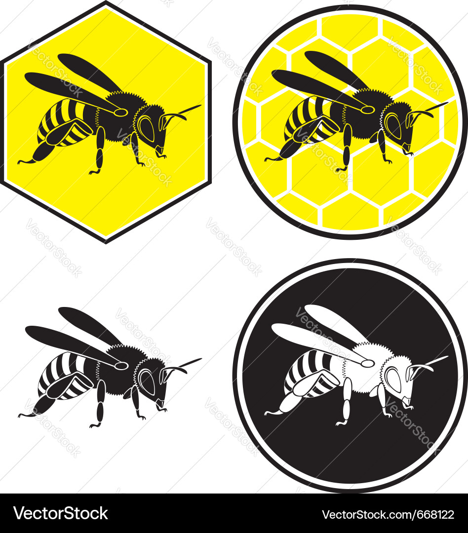 Bee Icon - Honeycomb Pattern Vector Image
