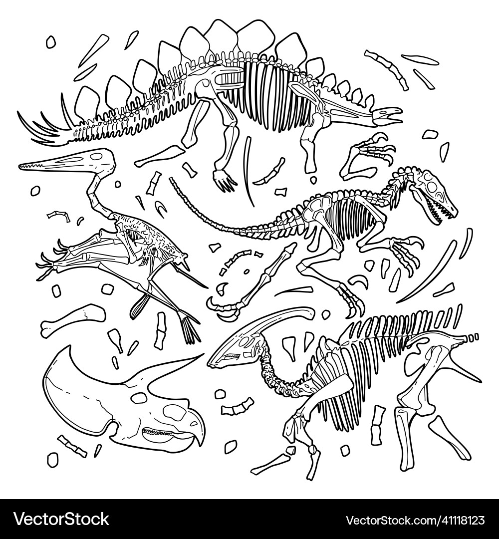 Dinosaurs fossils isolated on a white background Dinosaurs fossils isolated on a white background vector image