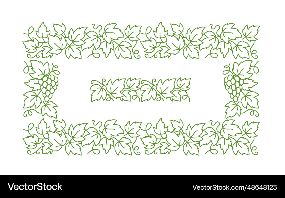 Grape vine rectangular frame leaves vector image