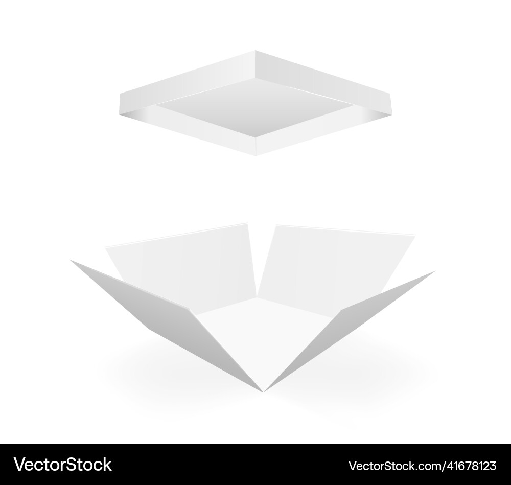 White empty box with an open lid on a White empty box with an open lid on a vector image