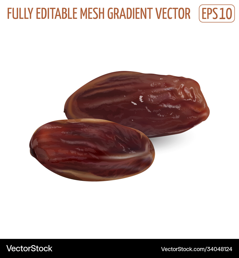 Two dry dates on a white background Two dry dates on a white background vector image
