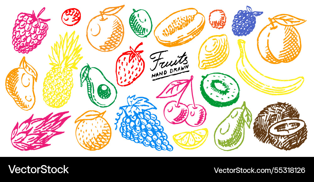 Brush drawn fresh fruits in grunge style very Brush drawn fresh fruits in grunge style very vector image