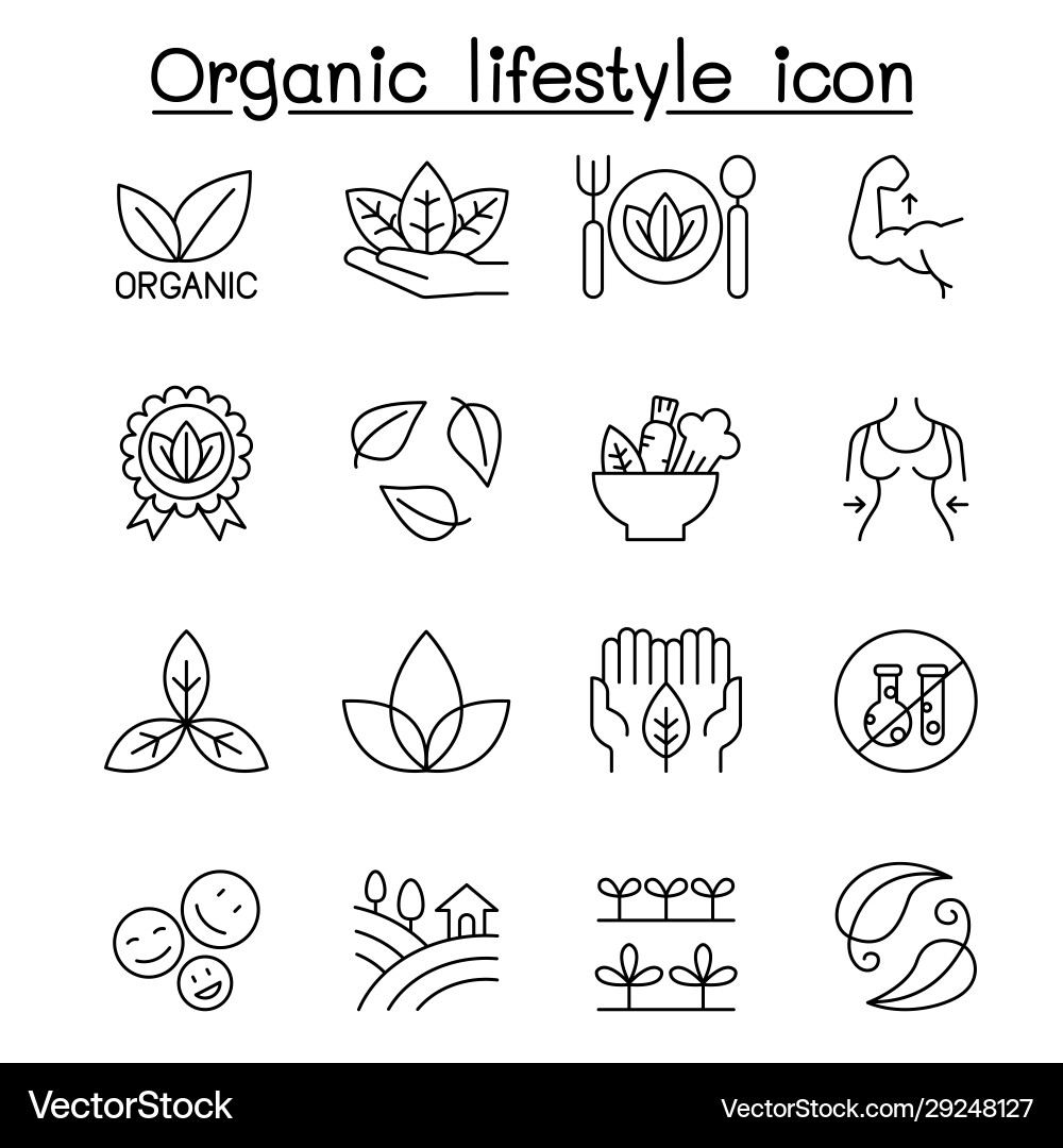 Bio-Lifestyle-Ikone in dünner Linie Stil Bio-Lifestyle-Ikone in dünner Linie Stil vektorbild