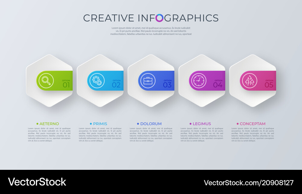 Contemporary minimalist infographic design Contemporary minimalist infographic design vector image