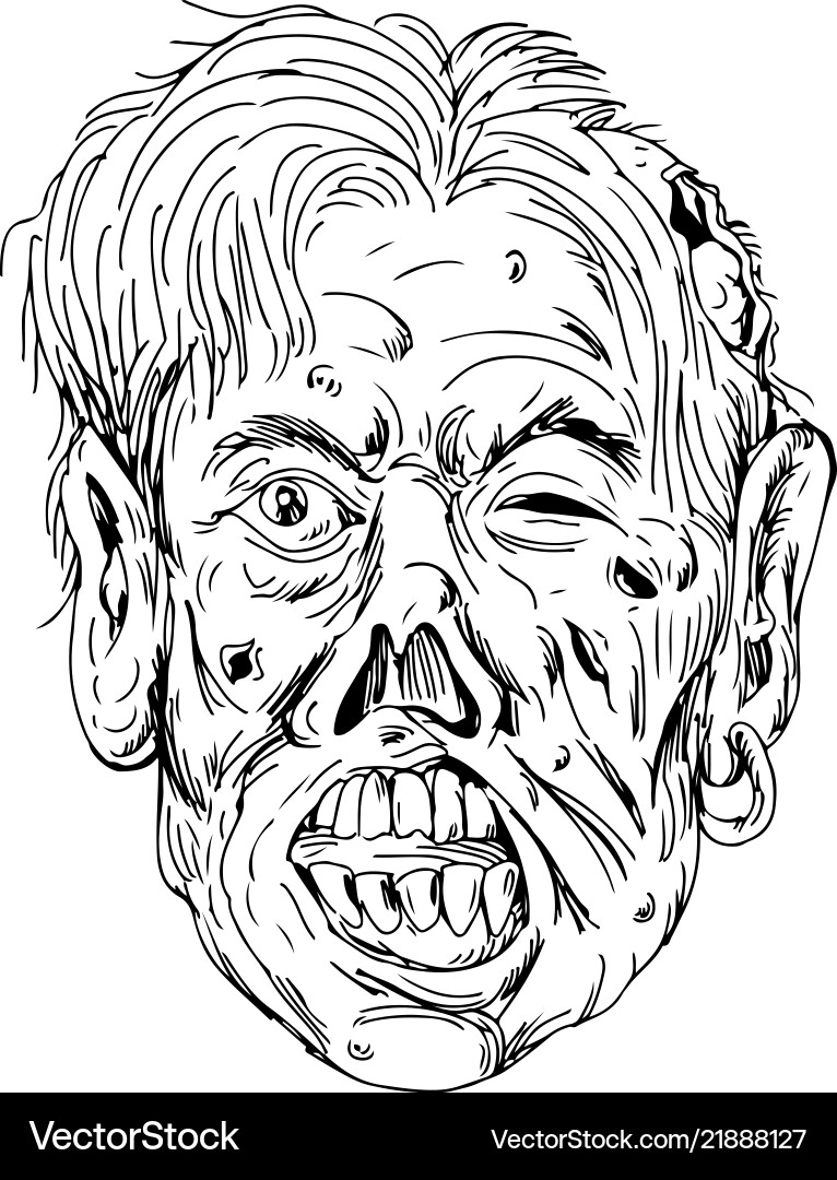 Zombie head front drawing vector image