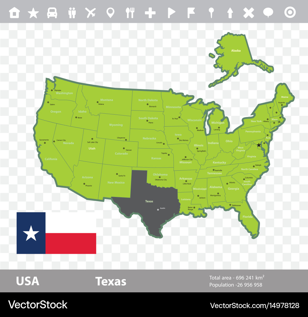 Texas Flag and Map vector image