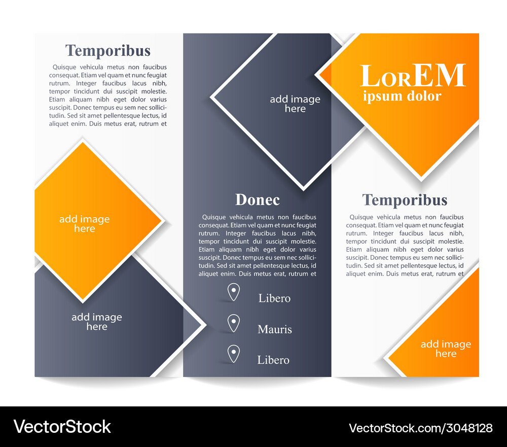 Tri-fold brochure template Vector Image