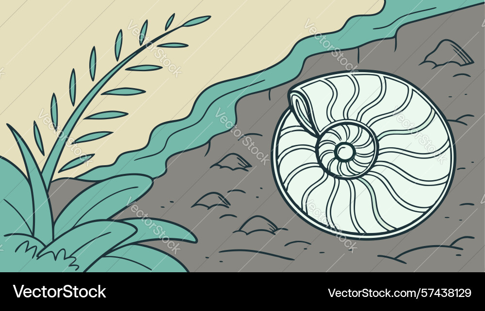 Nautilus shell fossil on rock in natural setting vector image