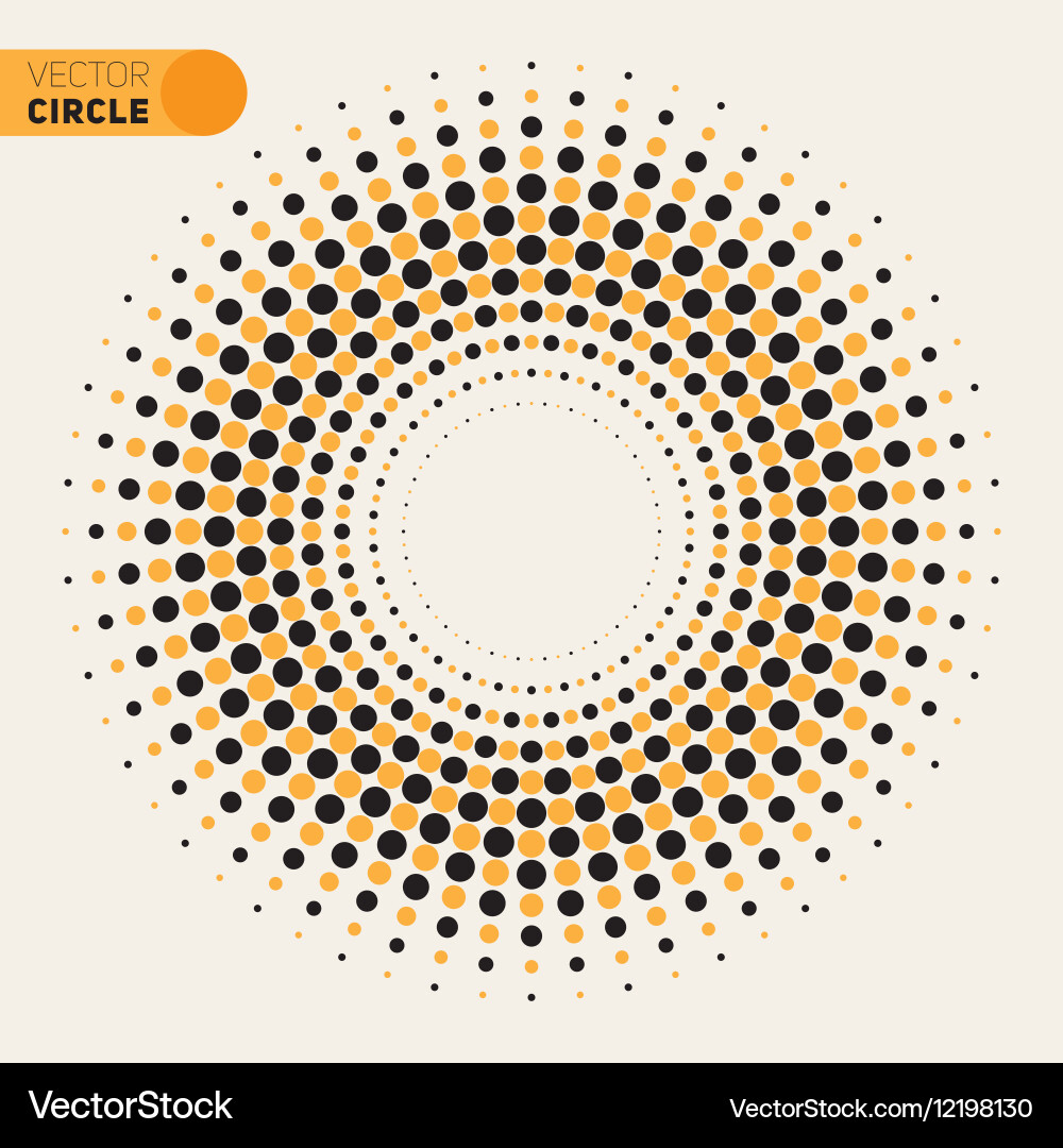 Phyllotaxis Spiral Pattern vector image