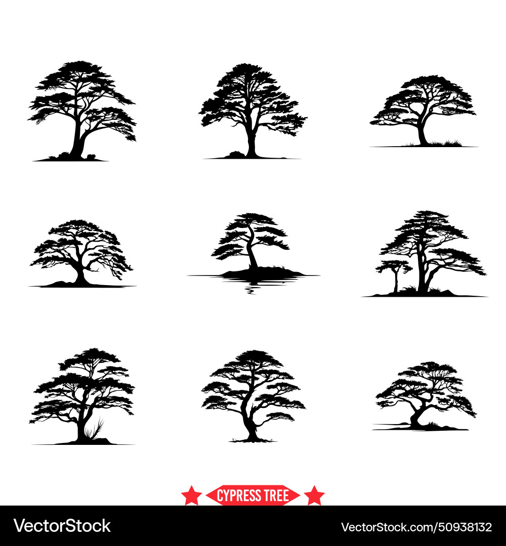 Cypress Baum setzen zeitlose Silhouetten Cypress Baum setzen zeitlose Silhouetten vektorbild