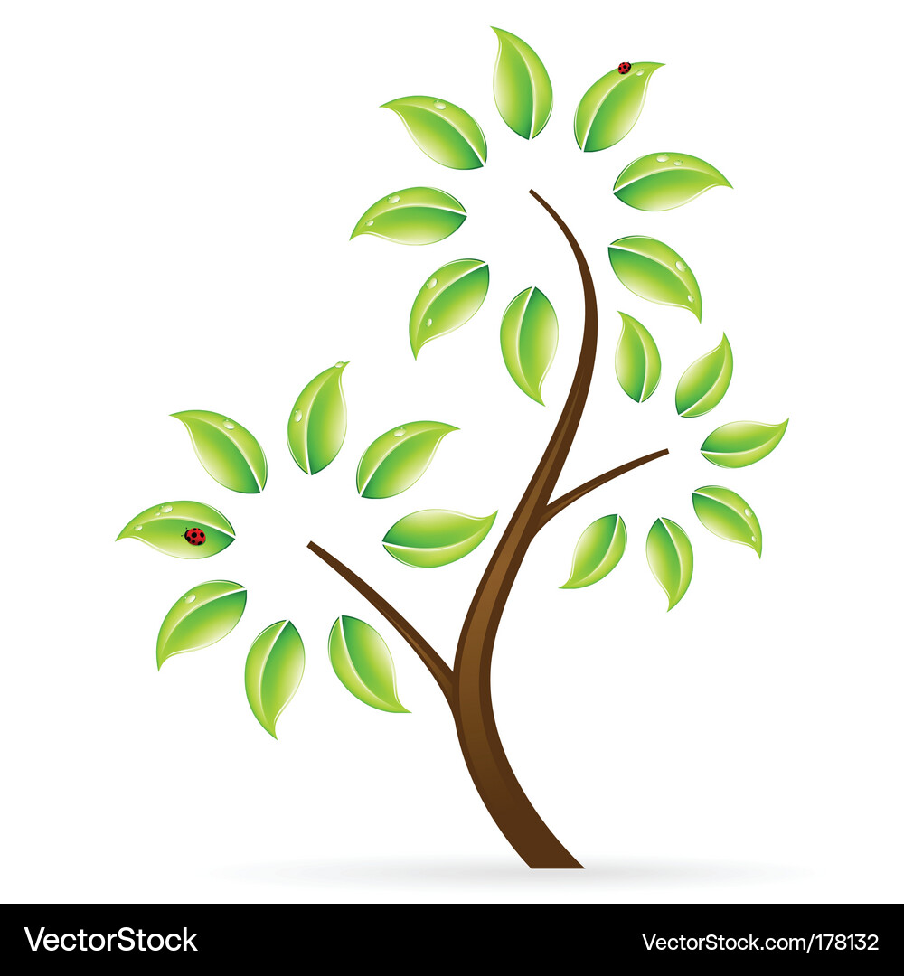 Tree Vector Image