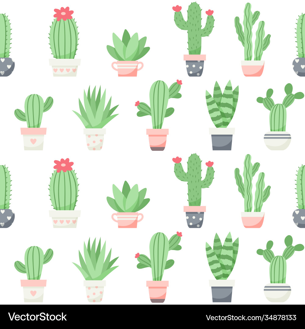 Cute cactus and succulents pattern vector image