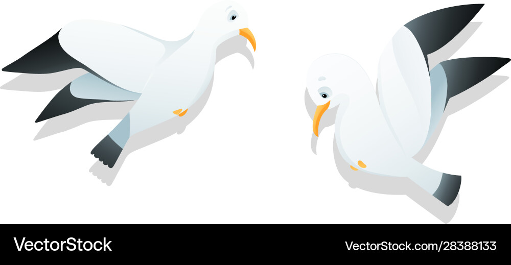 Funny flying seagull or gull comic silly marine vector image