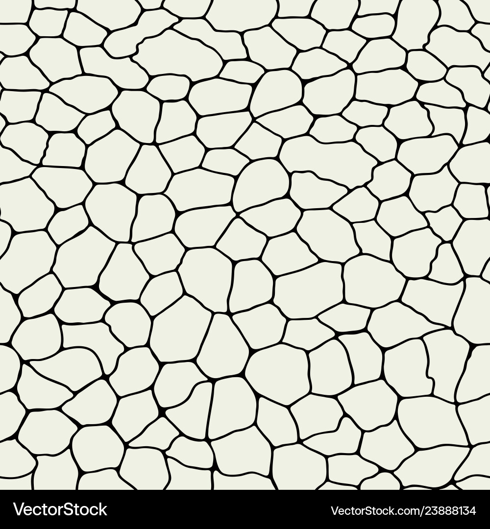 Cracked Stone Pattern Vector Image