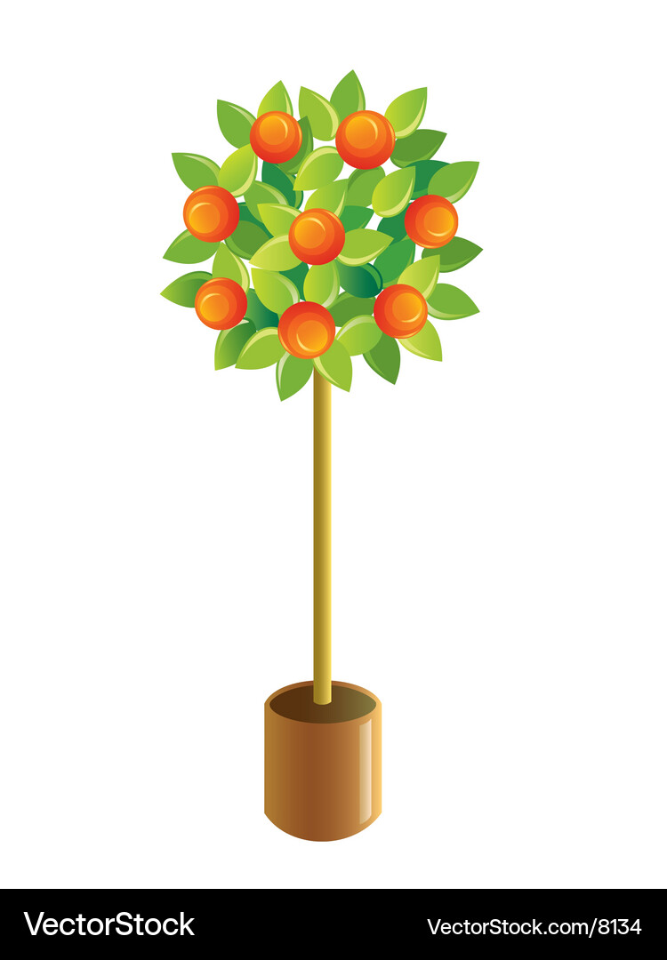 Tangerine Tree with Lush Foliage Vector Image