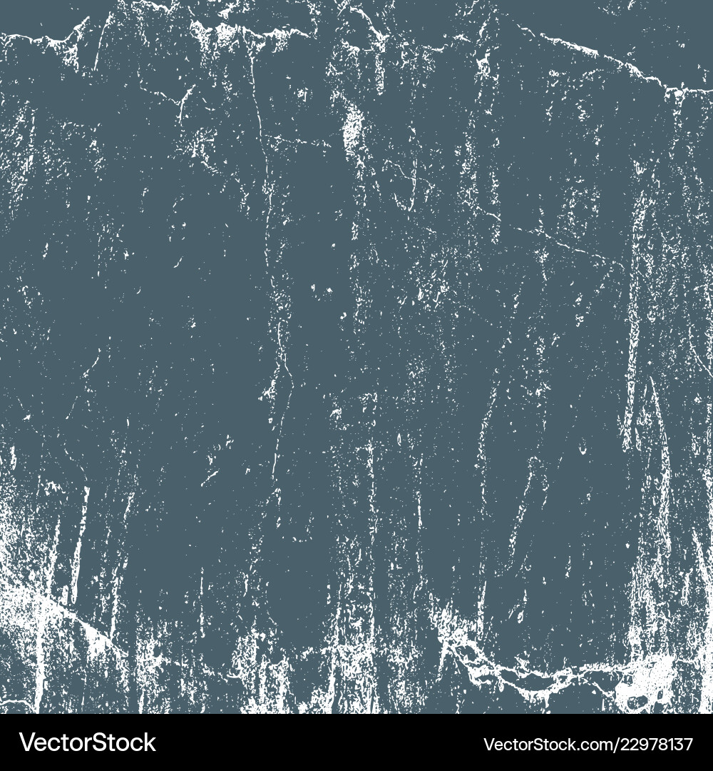 Detailed grunge texture background vector image
