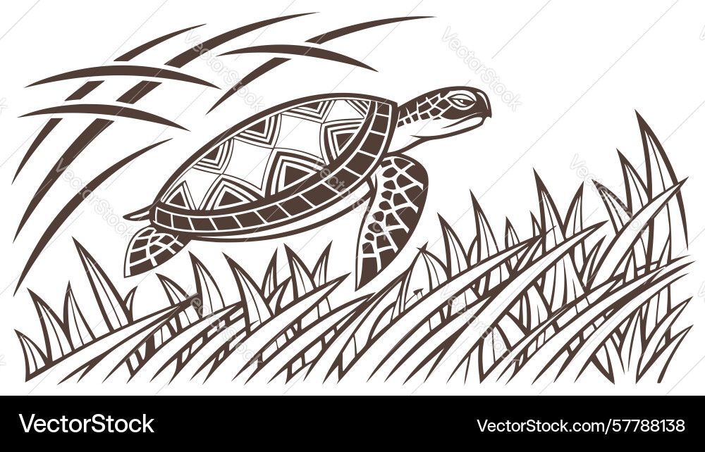Serene turtle and grass textured frame design Vector Image