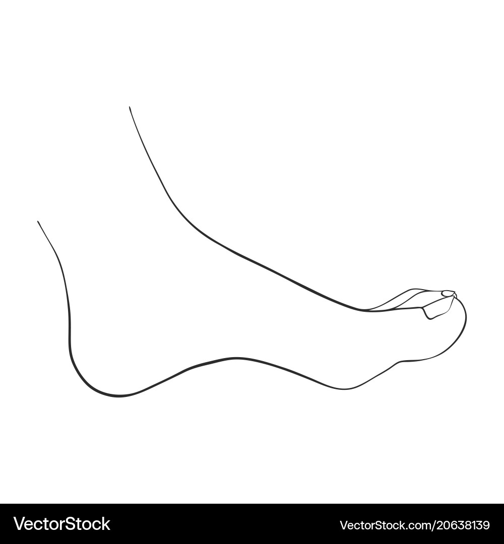 Hand drawn women foot vector image