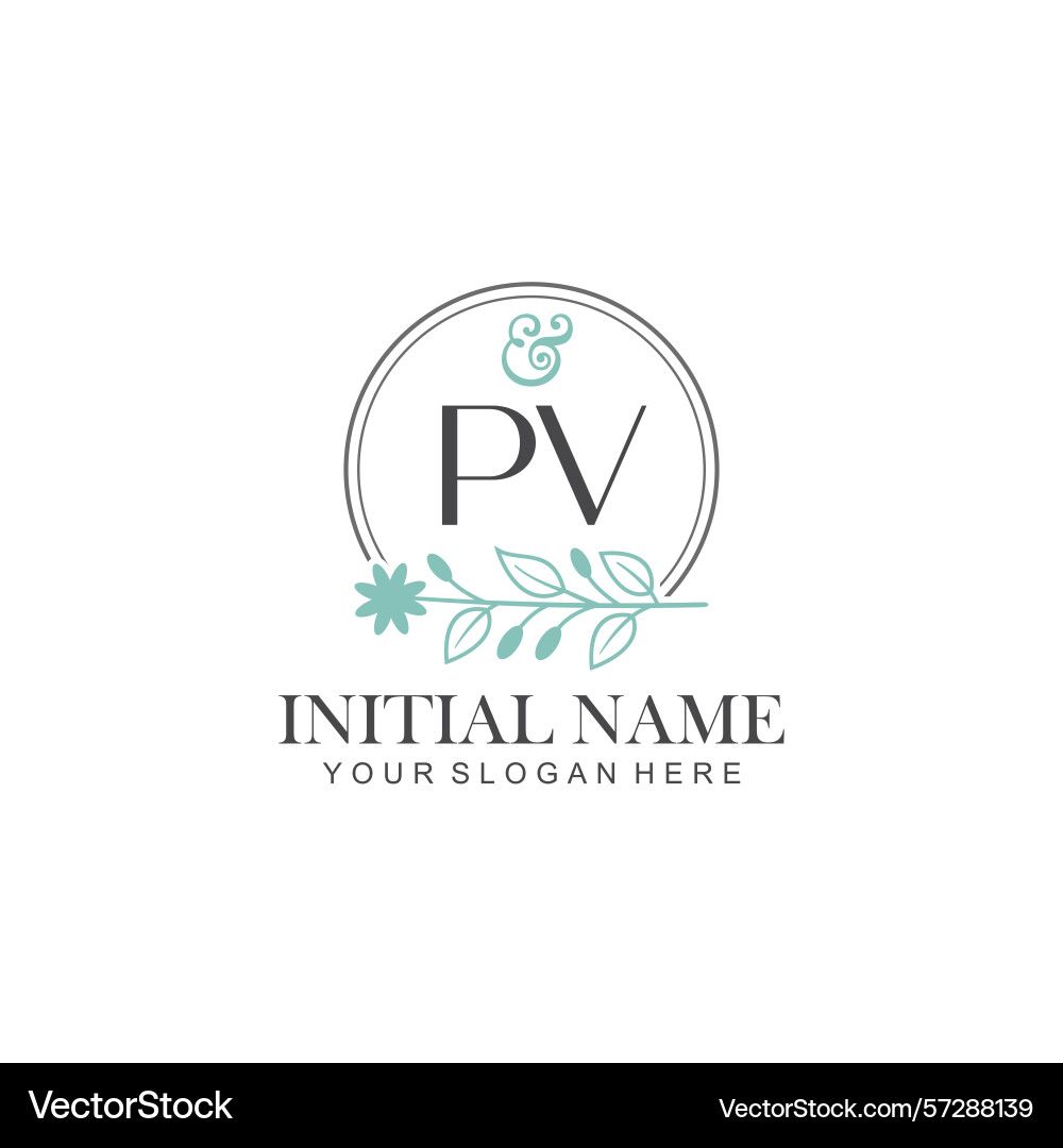 Pv initial logo templates with botanical elements Pv initial logo templates with botanical elements vector image