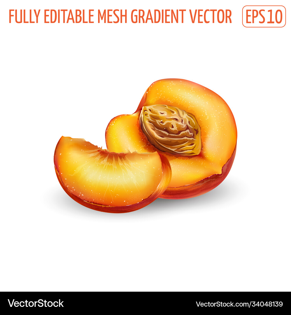 Sliced peach with pit on a white background Sliced peach with pit on a white background vector image
