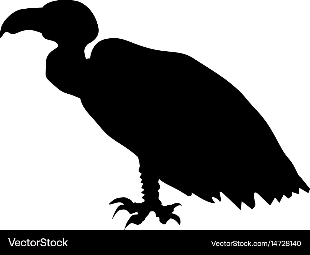 Vulture Silhouette vector image