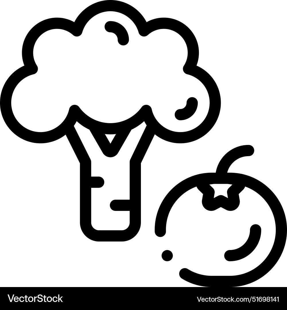 Broccoli icon thin linear style design isolated Broccoli icon thin linear style design isolated vector image
