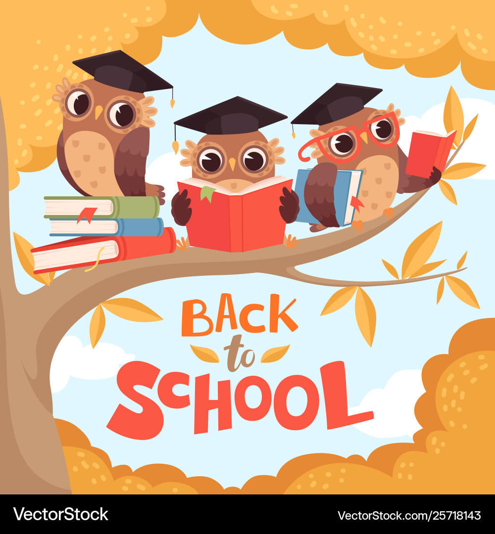 Cute Owl Back to School Vector Image