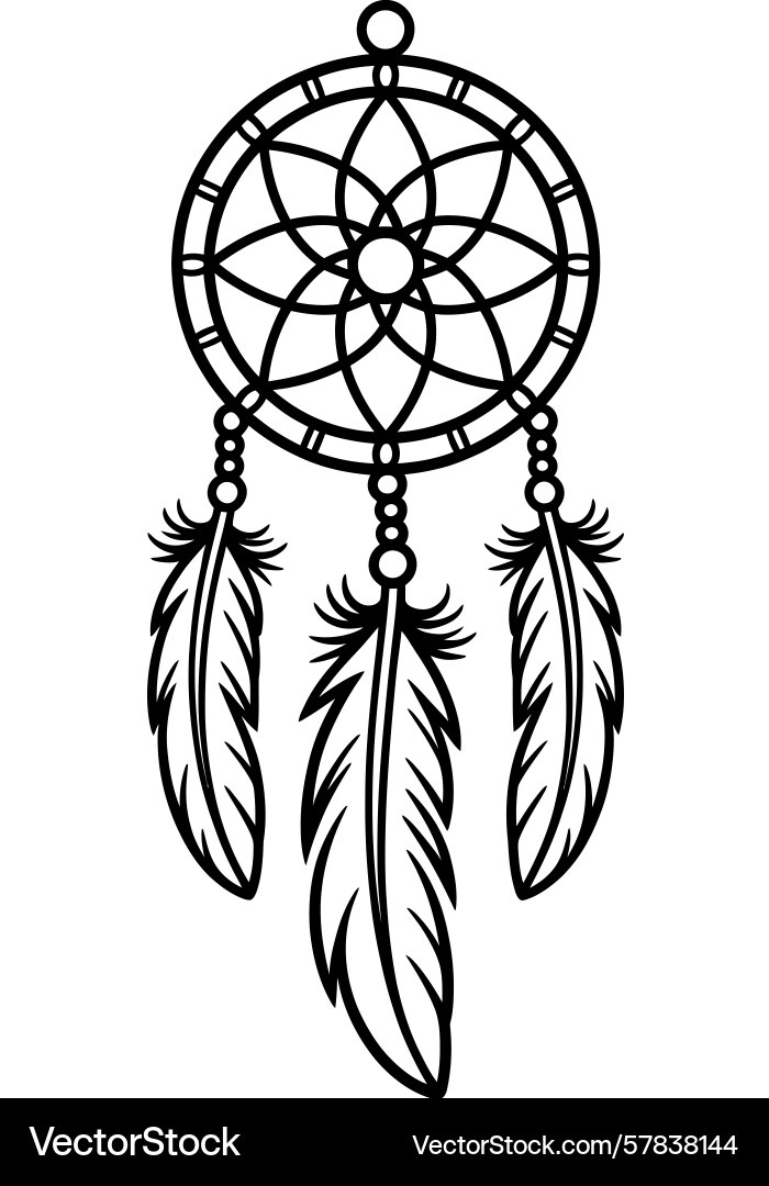 Dreamcatcher with a circular web pattern Vector Image