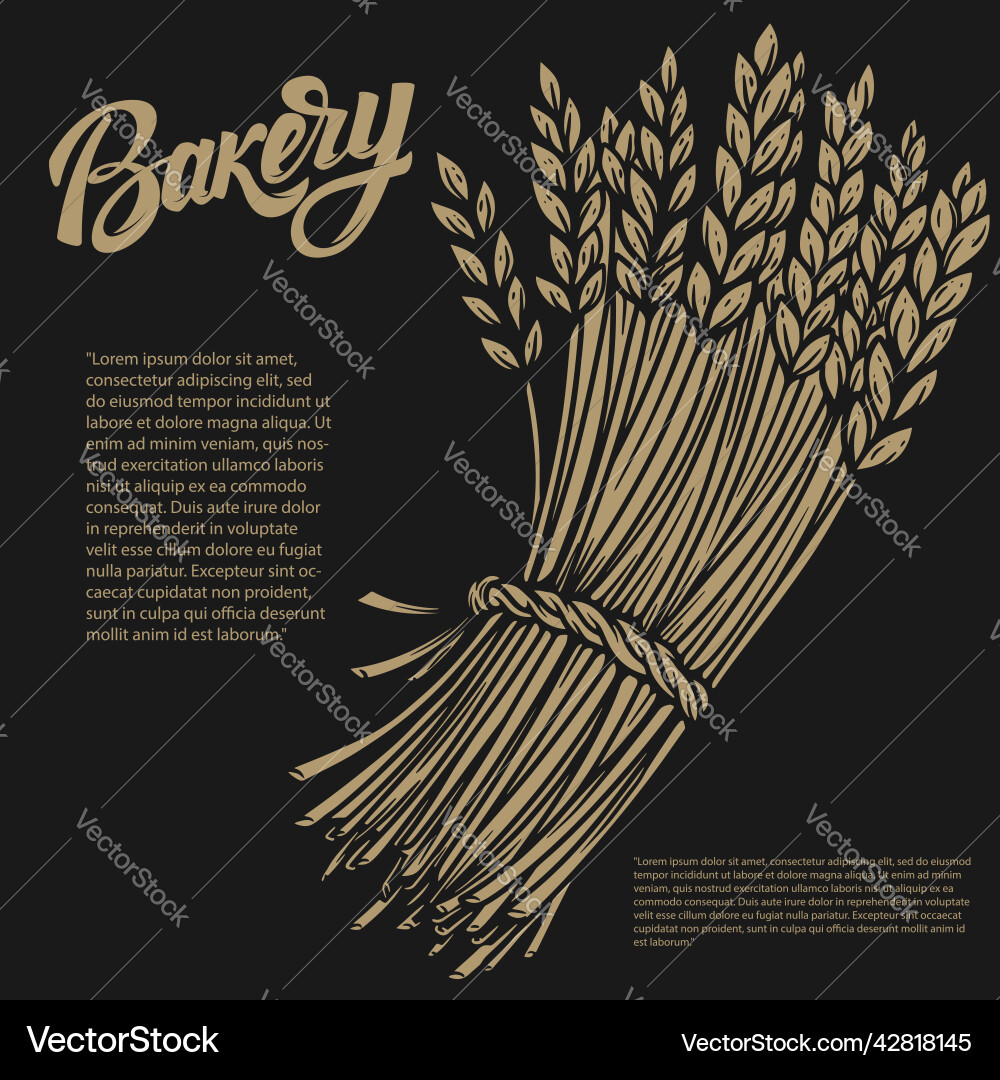 Bakery card with sheaf of wheat design element Bakery card with sheaf of wheat design element vector image