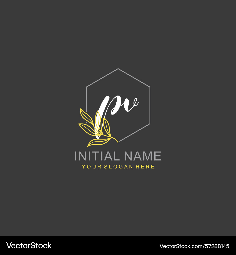 Pv initial logo templates with botanical elements Vector Image