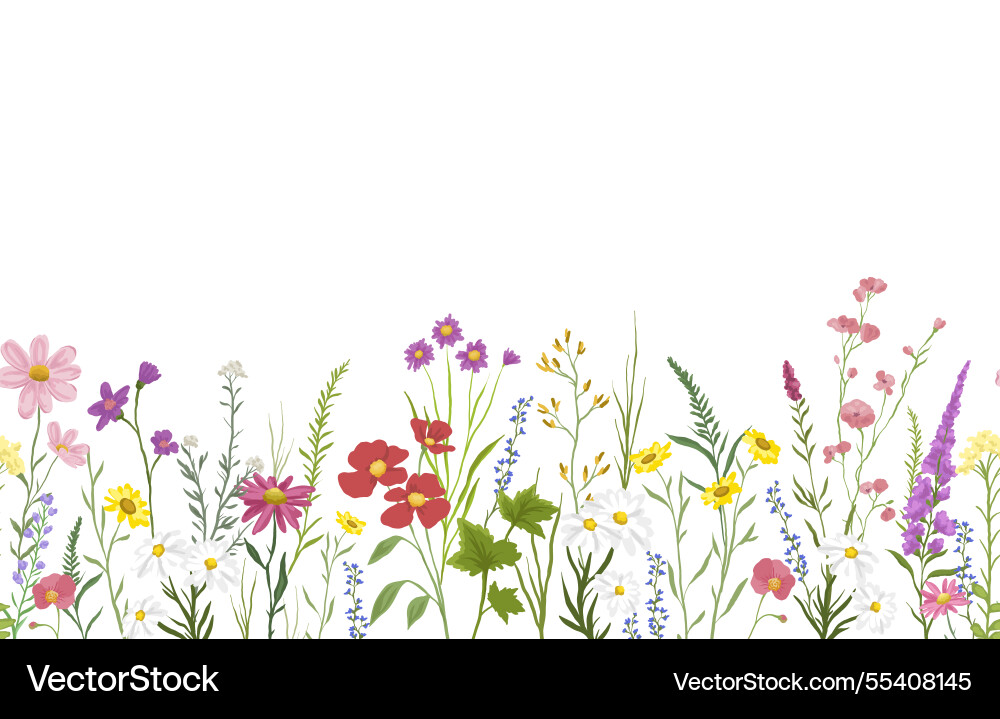 Wildflower Botanical Background Vector Image