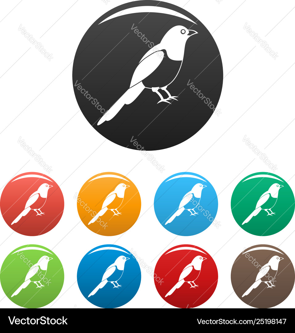 Magpie bird icons set color Magpie bird icons set color vector image