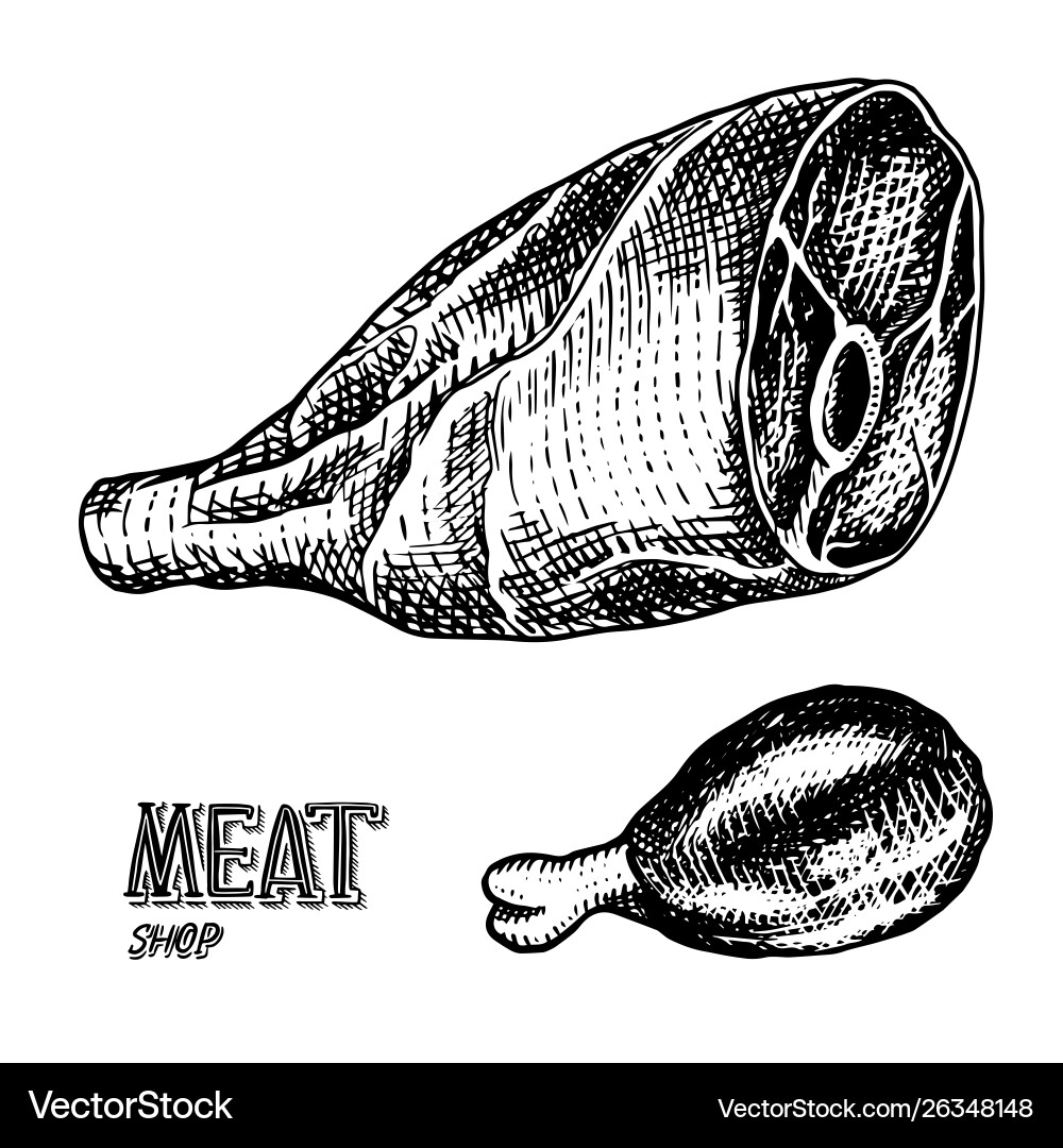Raw Meat Leg - Pork & Chicken Royalty Free Vector Image