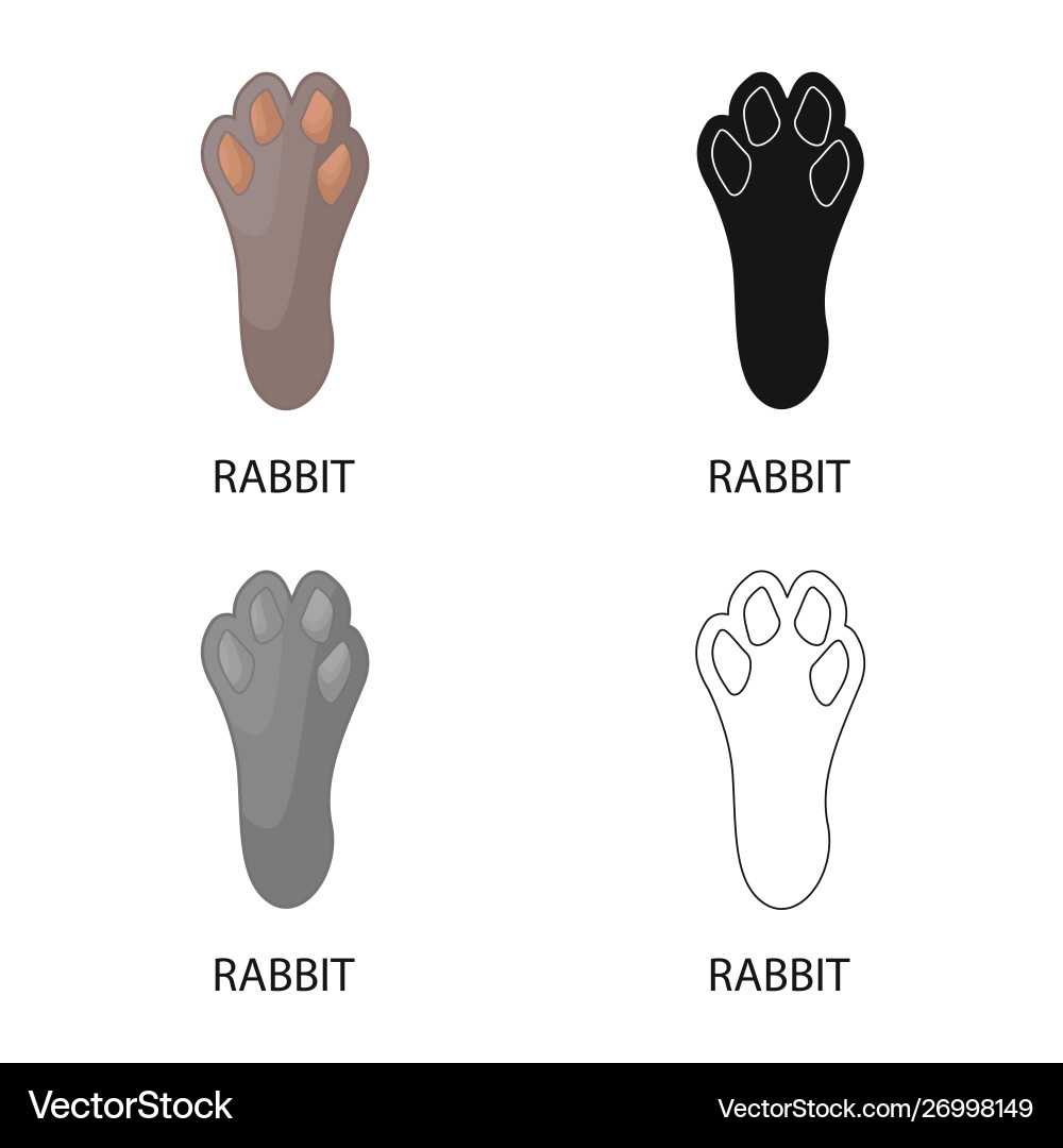 Isolated object paw and rabbit symbol vector image
