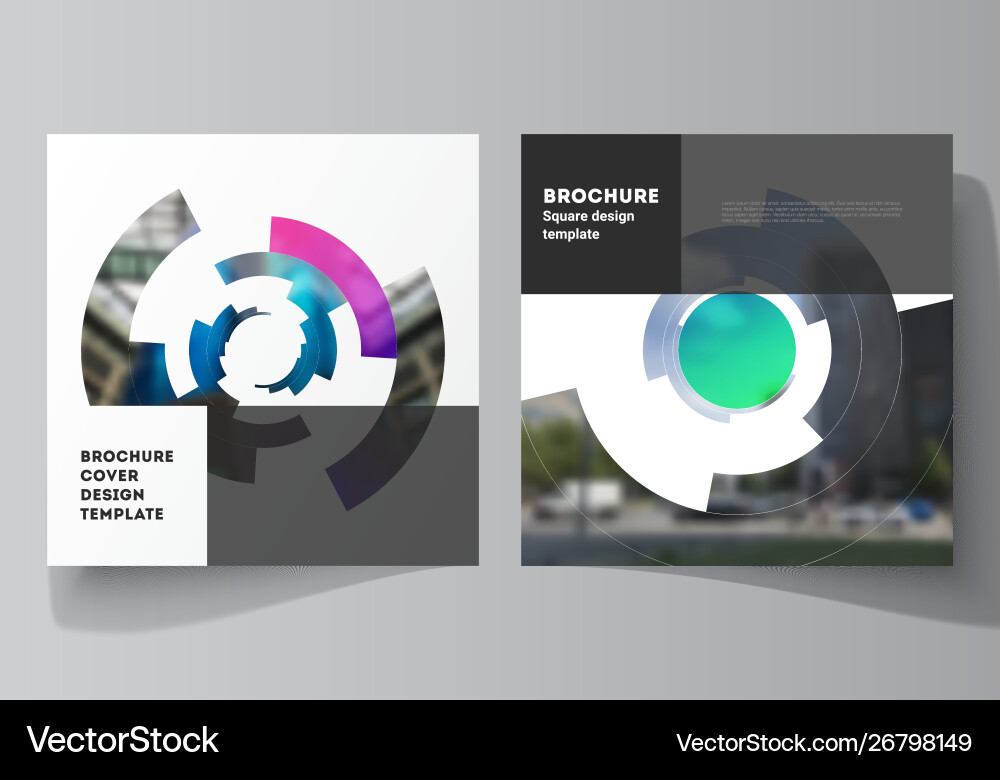 Minimal layout two square format vector image