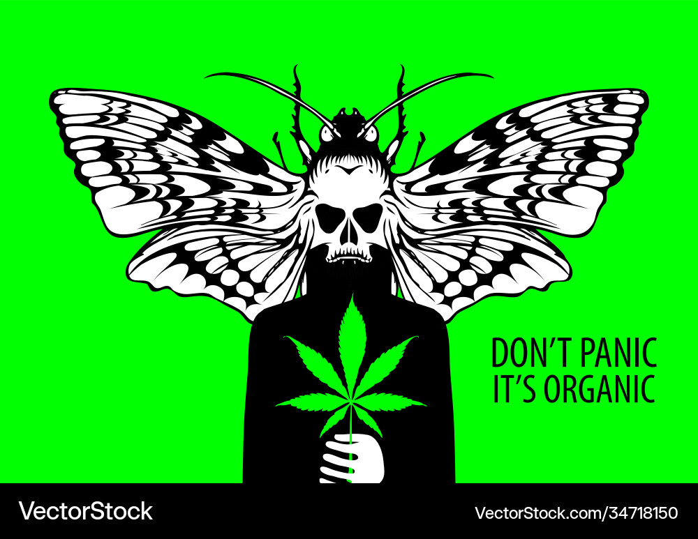 Banner zur Legalisierung von Cannabis mit fiktiver Person Banner zur Legalisierung von Cannabis mit fiktiver Person vektorbild